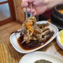 힘센 민물장어 이미지