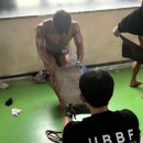 핏버디짐 이미지