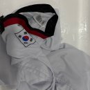 파란태권도 | 빨래 이염 제거 (태권도 도복)