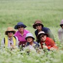 구름밭농장 이미지