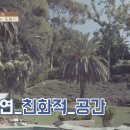 토리네민박 이미지