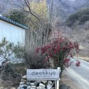 산청군농협하나로마트 덕산점 이미지