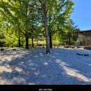 달빛고운민박 이미지