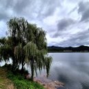 한반도섬 이미지