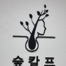 숲칼프 장안동점