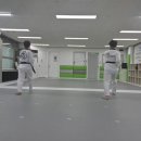 새솔태권도 이미지
