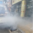 부림방역 이미지