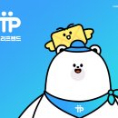 디자인프랜드