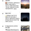 사암농장 | 신혼여행 8월 호주 여행 1편 시드니 근교 포트스테판 선셋 별보기 블루마운틴 투어 후기