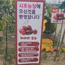 시후농장 이미지