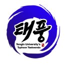 용인대태풍태권도장 이미지
