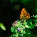 포항가속기연구소 밝은빛 과학탐방 총정리: 3·4세대 가속기 체험 안내