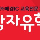 감자유학 이미지