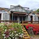 정선펜션 1박2일 이미지