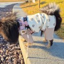 베베도그 | 도그아이 강아지 옷 곰돌이 올인원 추천