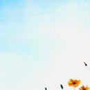 소망어린이집 근처 이미지