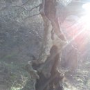 보개농업협동조합 이미지