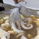 김흥관힘센낙지 이미지