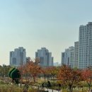 손;쿡희 | 하남 미사호수공원 근처 쿠키가 맛있는 카페 손쿡희 방문 후기