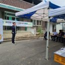 골든에그 이미지