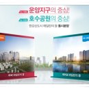 에일린에이 이미지