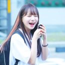 율 이미지