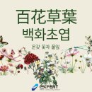 초엽