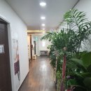 삼성연합가정의학과의원 이미지