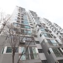 도곡2-101 네이버블로그