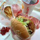 효동 | 대전 효동 맛집_[롯데리아 대전효동점] 다녀온 솔직 후기(내돈 내산)