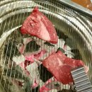 고기바보 이미지