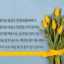 미라클교육연구소 이미지