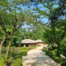 명성쌈밥 | 남양주 별내 쌈밥 맛집 목향원 내돈내산 솔직후기