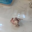 행복복권방 이미지