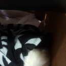 다사종합동물병원 이미지