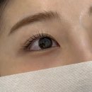 비비드 속눈썹 | 세종속눈썹펌 비비드수아 속눈썹펌 후기