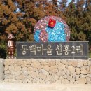 제주도흑돼지 이미지