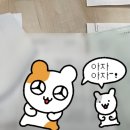뉴칸 | 도쿄 시나가와 뉴칸 입국관리소 일본취업비자 발급 후기 3년 당첨