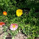 돌담한정식 이미지