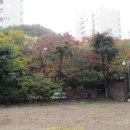 을지세탁소 Daum카페