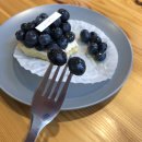 파이달램 이미지