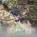 울타리화원 - 중구 퇴계로 217 | 대구 달성군 계곡 아이와 자연생태체험 후기