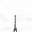 KS국제 행정사사무소 이미지