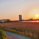 심곡천공원 이미지