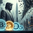 비전네이처 태양광발전소 | 코인, 그 거대한 모순의 기록