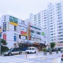 봄내민화 | 춘천 선물/춘천 추석선물>소통갤러리'다올'/작가님들 작품이~가격대박!