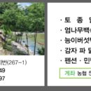 고당민박 이미지