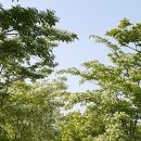 삼산체육관역 1번 출구 이미지