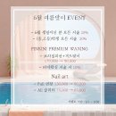 공주손톱 이미지