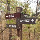 부여(임천)-11 티스토리